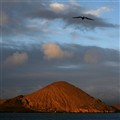 Galapagos1.jpg